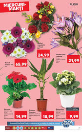Catalog Kaufland săptămâna 21 Pagină 27