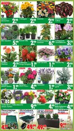 Wreesmann Prospekt woche 21 Seite 3