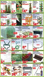 Wreesmann Prospekt woche 21 Seite 6