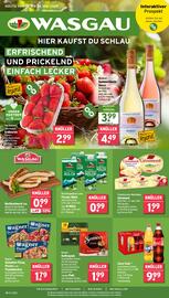 Wasgau Prospekt woche 21 Seite 1