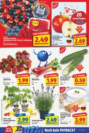 NP Discount Prospekt woche 21 Seite 2