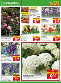 Herkules Baumarkt Prospekt woche 21 Seite 3
