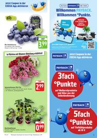 nah & gut Prospekt woche 21 Seite 5