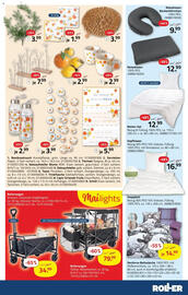 ROLLER Prospekt woche 21 Seite 15