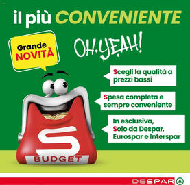 Volantino Despar Pagina 15