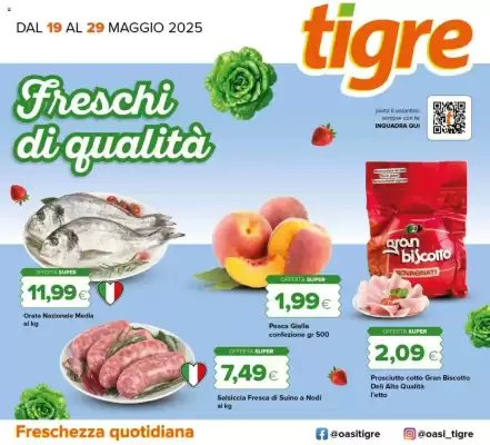 Volantino Tigre
