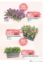 Catalogue Botanic page 3