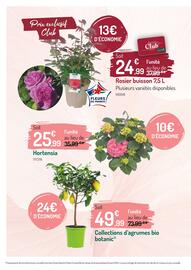Catalogue Botanic page 4