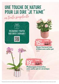 Catalogue Botanic page 6