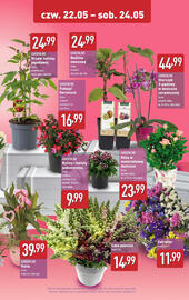 ALDI gazetka Strona 2