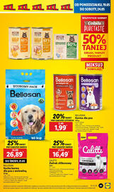 Lidl gazetka Strona 45
