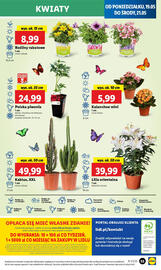 Lidl gazetka Strona 61
