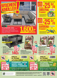 Maximarkt Flugblatt woche 21 Seite 20
