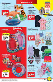 Lidl Flugblatt woche 21 Seite 31