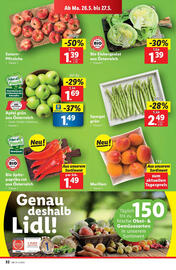 Lidl Flugblatt woche 21 Seite 36