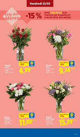 Catalogue Lidl semaine 21 page 31