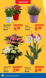 Catalogue Lidl semaine 21 page 32