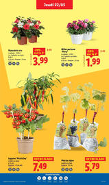 Catalogue Lidl semaine 21 page 33