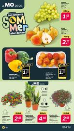 NETTO Prospekt woche 22 Seite 2