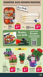 NETTO Prospekt woche 22 Seite 3