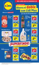 Folleto Lidl semana 22 Página 1