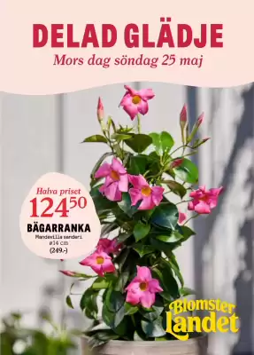 Blomsterlandet reklamblad