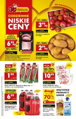 Biedronka gazetka