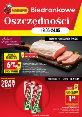 Biedronka gazetka (ważność do 24-05)