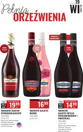 Biedronka gazetka | Alkohole Strona 19