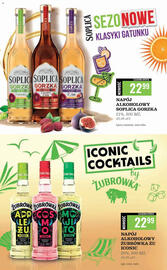 Biedronka gazetka | Alkohole Strona 34