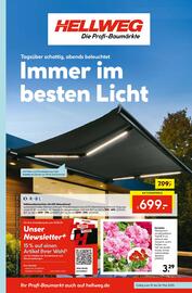 Hellweg Prospekt woche 21 Seite 1
