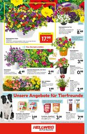 Hellweg Prospekt woche 21 Seite 24