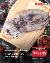 Spar catalogue Page 9