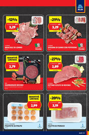 Volantino ALDI settimana 22 Pagina 13