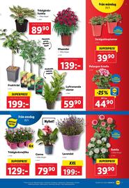 Lidl reklamblad vecka 22 Sida 20