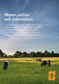 Snabbgross reklamblad Sida 11