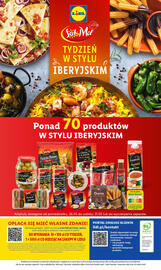 Lidl gazetka Strona 47