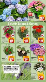 REWE Center Prospekt woche 21 Seite 32