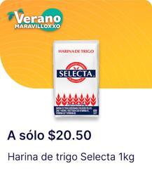 Catálogo OXXO Página 13