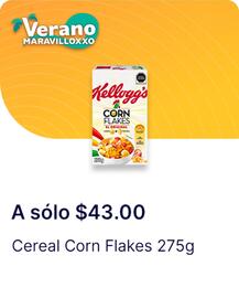 Catálogo OXXO Página 29