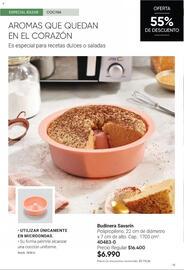 Catálogo Avon Página 17