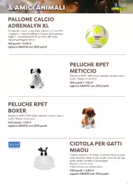 Volantino DiMeglio Pagina 15