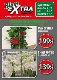 Extra Mjällby Stormarknad reklamblad vecka 21 Sida 14