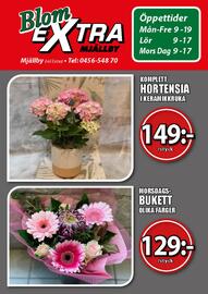 Extra Mjällby Stormarknad reklamblad vecka 21 Sida 15