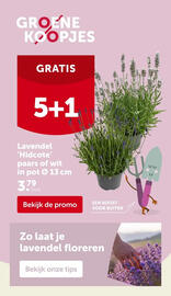 AVEVE folder Pagina 2