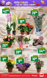 Polomarket gazetka tydzień 21 Strona 11