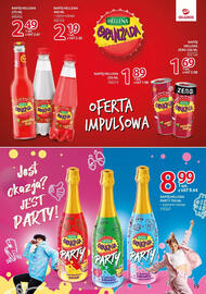 Selgros gazetka Strona 19