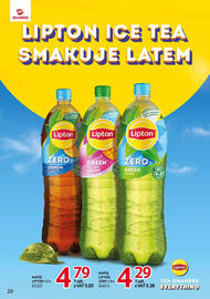 Selgros gazetka Strona 20