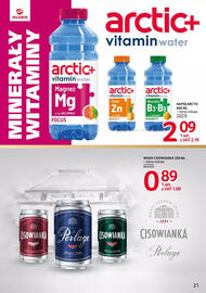 Selgros gazetka Strona 21