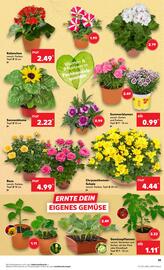 Kaufland tilbudsavis uge 21 Side 19